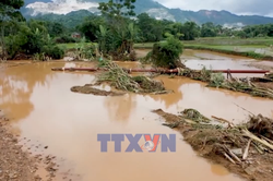 Lào Cai bảo vệ sản xuất trước thiên tai cực đoan