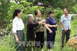 Chủ động ứng phó với tình trạng sạt lở núi đá