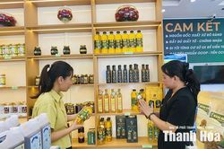 Đẩy mạnh kết nối thị trường, th&uacute;c đẩy ti&ecirc;u thụ sản phẩm OCOP