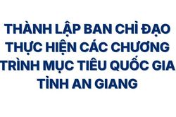 [Infographic] An Giang kiện toàn đầu mối chỉ đạo 4 Chương trình mục tiêu quốc gia