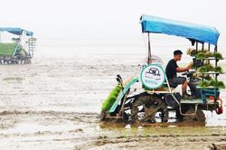 Máy cấy mạ khay tăng hiệu quả sản xuất