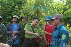 Giữ màu xanh của những cánh rừng