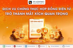 Nghị định 248/2026/NĐ-CP: Những thay đổi cốt lõi doanh nghiệp CeCA phải biết