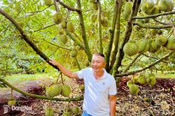 Chú trọng xây dựng mô hình kinh tế tập thể