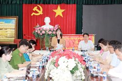 Hội Liên hiệp phụ nữ thành phố giám sát về chính sách khuyến khích, hỗ trợ công tác dân số