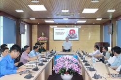 Dự kiến sẽ triển khai thử nghiệm nền tảng số Viettel Tammi OA để thúc đẩy chuyển đổi số
