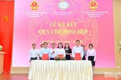 Hoạt động Ngân hàng Khu vực 13 giữ vững ổn định, thúc đẩy chuyển đổi số