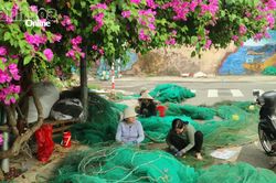 Nhịp sống nơi làng chài Cửa Bé