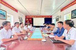 Sở Khoa học và Công nghệ phối hợp khảo sát, trao đổi chuyên môn phục vụ nghiên cứu về sâm Lai Châu