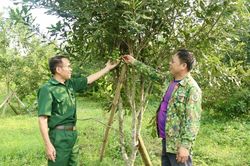 Tiếp sức hội viên thoát nghèo