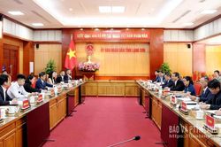 Lãnh đạo tỉnh làm việc với Tập đoàn Gia Định và các doanh nghiệp Trung Quốc