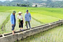 Phân cấp quản lý: Nâng hiệu quả khai thác công trình thủy lợi