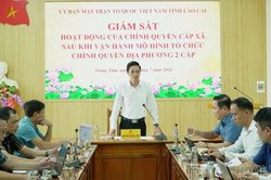 Ủy ban MTTQ Việt Nam tỉnh Lào Cai giám sát việc vận hành mô hình chính quyền địa phương 2 cấp tại phường Trung Tâm
