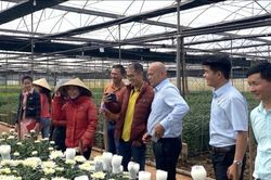 Thu hút đầu tư để nông sản vươn tầm