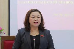 Khảo sát, góp ý dự án Luật Hòa giải ở cơ sở và Luật Nuôi con nuôi (sửa đổi)