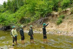 Nỗi niềm người giữ rừng
