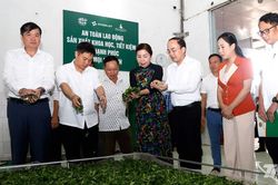 Đồng chí Nguyễn Đăng Bình thăm một số doanh nghiệp, hợp tác xã nông nghiệp tiêu biểu
