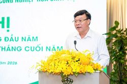 Casumina chủ động nguồn cung nguyên liệu