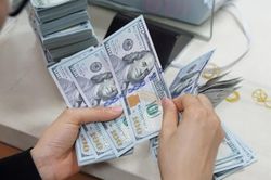 Kiều hối về TP.HCM ghi nhận tín hiệu phục hồi trong quý II/2026
