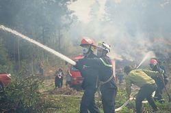 Đà Nẵng báo động đỏ nguy cơ cháy rừng