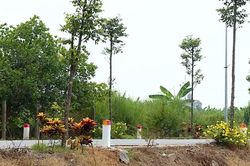 Tuyến đường 'Ba nhất' rực rỡ sắc hoa