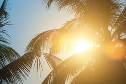 Tuần cuối tháng 7: Thời tiết ôn hòa, mưa, nắng đều giảm
