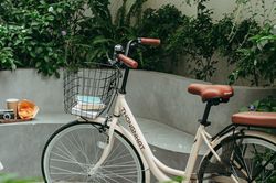 Xe đạp và những vòng quay bình yên