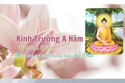 Mùa an cư cuối cùng của đức Phật