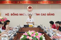 Ban Kinh tế - Ng&acirc;n s&aacute;ch, HĐND tỉnh thẩm tra dự thảo nghị quyết tr&igrave;nh Kỳ họp thứ 5 (chuy&ecirc;n đề)