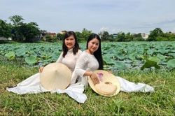 Nâng tầm giá trị sen Huế gắn với xây dựng thương hiệu
