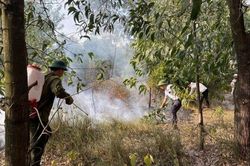 Huế: Xã Chân Mây - Lăng Cô chủ động phòng, chống cháy rừng và bảo vệ tài nguyên rừng
