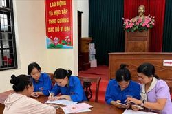 Tuổi trẻ Ô Diên góp sức xây dựng cơ sở dữ liệu đất đai