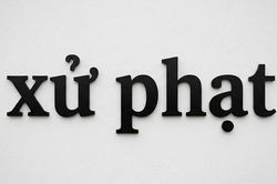 Cục trưởng 3 Cục thuộc Bộ Y tế được phạt vi phạm thể thao đến 50 triệu đồng