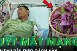 Người đàn ông 52 tuổi suy thận cấp, suýt mất mạng vì ăn rau dền theo cách này