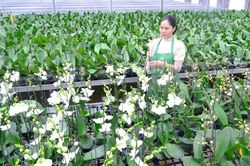Khẳng định vai tr&ograve; chủ thể trong x&acirc;y dựng n&ocirc;ng th&ocirc;n mới