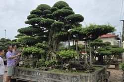 Cơ hội, thách thức khi không gian du lịch mở rộng - Bài cuối: Từ khai thác tài nguyên sang sáng tạo giá trị