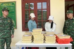 L&agrave;o Cai: Ngăn chặn 2 vụ vận chuyển t&ocirc;m h&ugrave;m đất lậu, bốc m&ugrave;i qua bi&ecirc;n giới