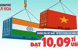 Kim ngạch thương mại Việt Nam - Ấn Độ đạt 10,09 tỉ USD sau 6 tháng