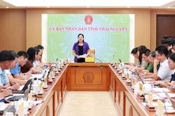 Th&aacute;i Nguy&ecirc;n chuẩn bị Festival Tr&agrave; Quốc tế gắn với văn h&oacute;a v&agrave; du lịch