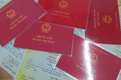 Đề xuất thống nhất c&ocirc;ng nhận chứng chỉ trong hệ thống gi&aacute;o dục quốc d&acirc;n