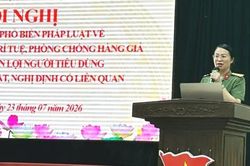 Vi phạm sở hữu trí tuệ dịch chuyển sang môi trường số