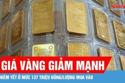 Sáng 23-7: Giá vàng giảm mạnh