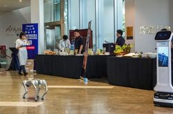 AI, robot v&agrave; k&iacute;nh thực tế ảo sẽ tr&igrave;nh diễn tại diễn đ&agrave;n c&ocirc;ng nghệ du lịch ở Đ&agrave; Nẵng