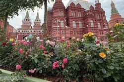 Tổng thống Putin: Kinh tế Nga duy trì ổn định, khó khăn trên thị trường nhiên liệu chỉ là tạm thời