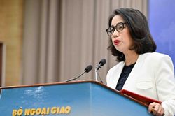 Việt Nam l&ecirc;n tiếng vụ va chạm tại b&atilde;i Cỏ M&acirc;y ở Biển Đ&ocirc;ng