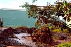Đề nghị b&aacute;o c&aacute;o vụ giếng khoan phun tr&agrave;o kh&iacute; v&agrave; nước cực mạnh