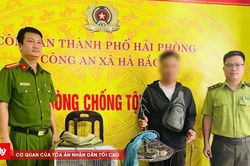 Phát hiện, xử lý đối tượng bẫy chim hoang dã