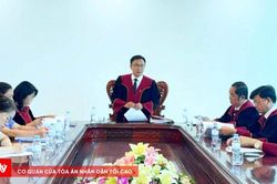 Ủy ban Thẩm phán TAND tỉnh Hà Tĩnh xét xử giám đốc thẩm vụ án tranh chấp thừa kế đất đai
