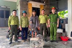 Phát hiện 2 vụ bẫy, nuôi nhốt chim hoang dã trái phép ở Hải Phòng