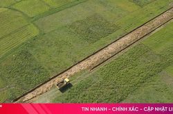 Cánh đồng lớn mở lối cho nông nghiệp hiện đại ở Hà Tĩnh
